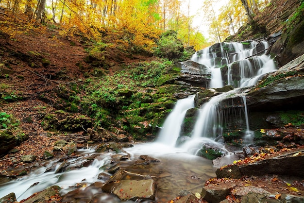 Ukpaine Waterfall among the mossy rocks Beautiful landscape rapids on a mountains river in autumn forest in carpathian mountains at sunset Silver stream in National park Shypit Carpat Pilipets