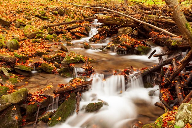 Ukpaine Waterval tussen de bemoste rotsen Prachtige landschap stroomversnellingen op een rivier van bergen in herfst bos in de Karpaten bij zonsondergang Zilver stroom in Nationaal park Shypit Carpat Pilipets