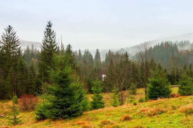 우크라이나 Carpathians 가을 산에서 아침 안개의 시간 경과 눈 덮인 산과 실행 안개 풍경