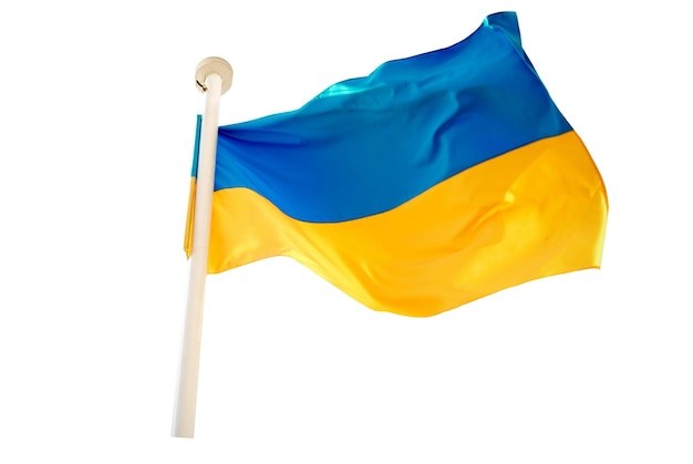 ウクライナの旗 白い背景に分離されたウクライナの旗