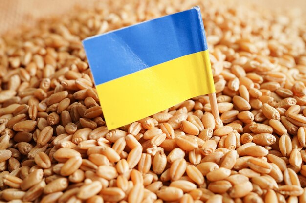 Ukraine on grain wheat trade export and economy concept