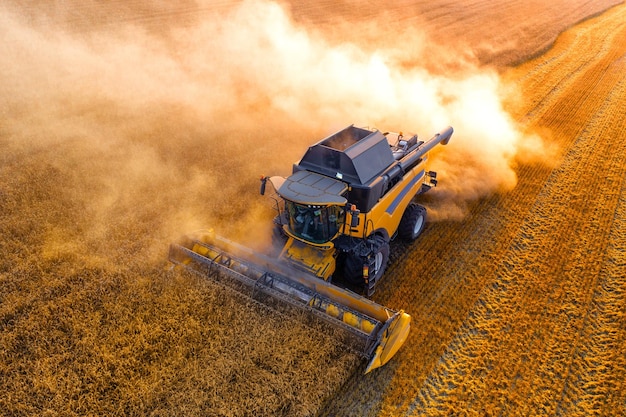 La mietitrice ucraina raccoglie il drone di grano vista dall'alto