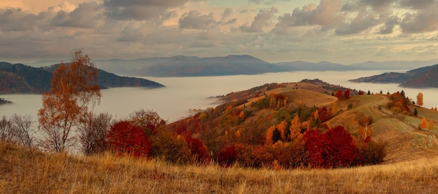 Ukraine A magical autumn sunrise with mist creeping over valleys over mountain formations far from civilization Synevyr pass located in the Carpathian mountains