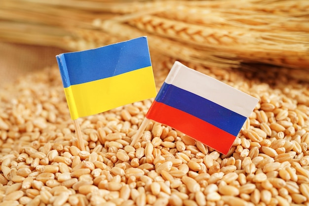 Ukraine and Russia flag on grain wheat trade export and economy concept