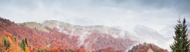 Ukraine the wonderful Carpathian mountains Amazing mountain landscape with colorful vivid sunset on the cloudy sky natural outdoor travel background Beauty world