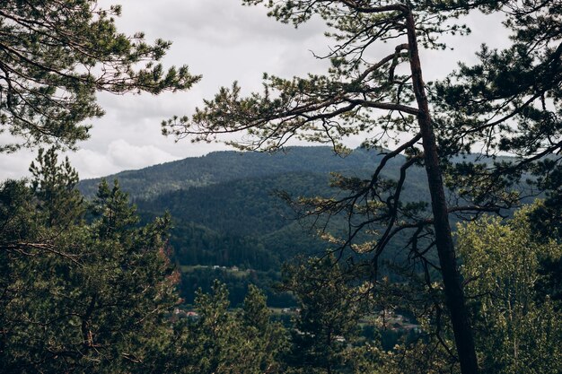 Ukrainian Carpathian Mountains