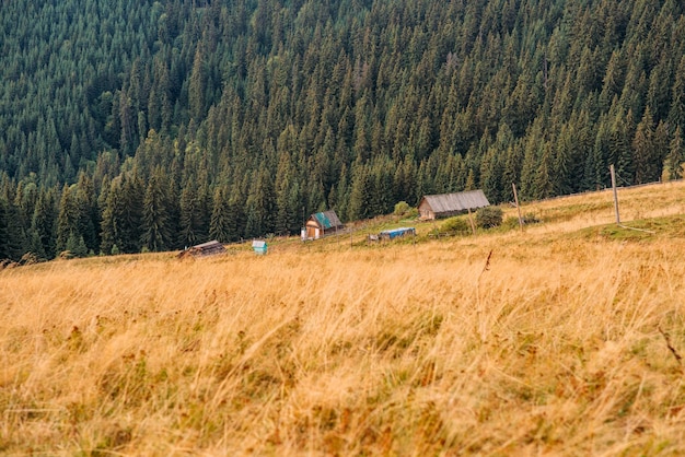 Ukrainian Carpathians in autumn