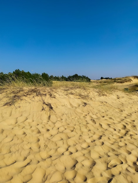 푸른 하늘 아래 우크라이나 사막 모래 언덕과 사막의 도로 Oleshky Sands 자연 공원 Oleshkivski pisky Kherson oblast 우크라이나