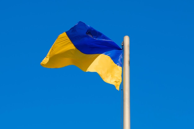 Ukrainian flag of yellow and blue colors branches in the wind against the sky