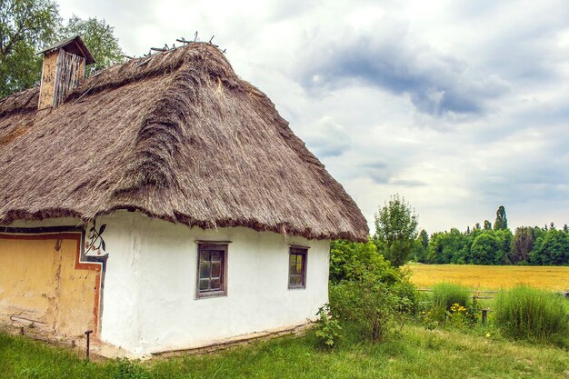 Campo in pendenza con tetto di paglia della capanna ucraina vicino