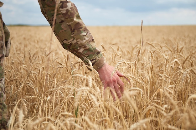 小麦畑にいるウクライナ軍人ウクライナの小麦畑と戦争が迫っている食糧危機ウクライナ軍