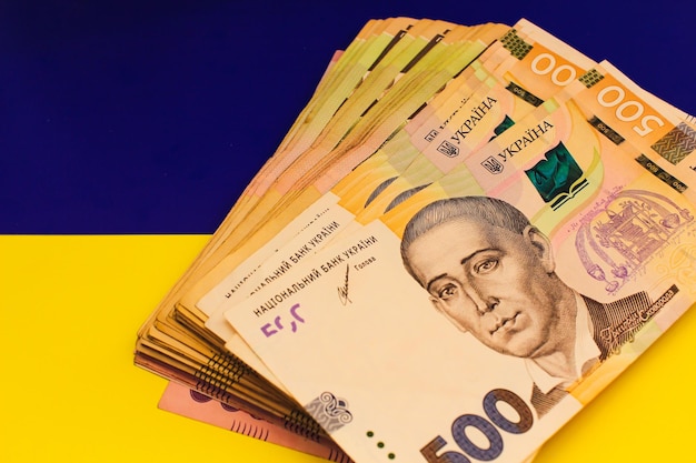 Ukrainian Money on National Flag