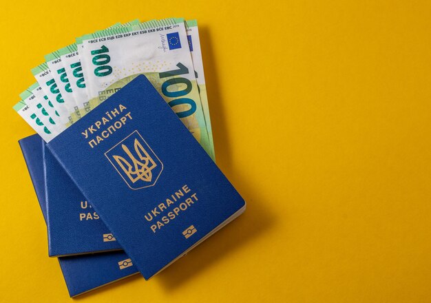 Photo ukrainian passport and 100 euro banknotes