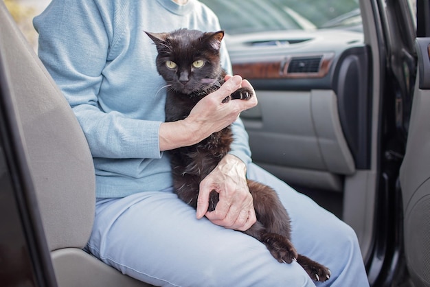 Ukrainian refugees flee from russian invasion cross board by car together with pet seek protection