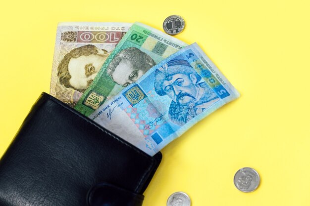 Ukrainian small money hryvnia and a penny in a leather black wallet.