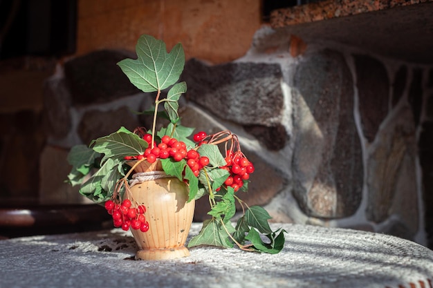 粘土の花瓶の居心地の良いカフェでウクライナのガマズミ属の木