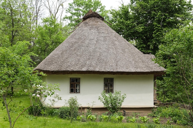 Ukrainian village house with thatched roof wild village in\
ukraine traditional ukraine clay house