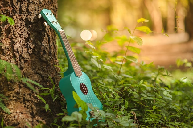 Ukulele gitaar op de berg natuur dennenbos landschap Foto toont muziekinstrument Ukulele kleine gitaar in openlucht natuurlijke groene achtergrond Strings close-up