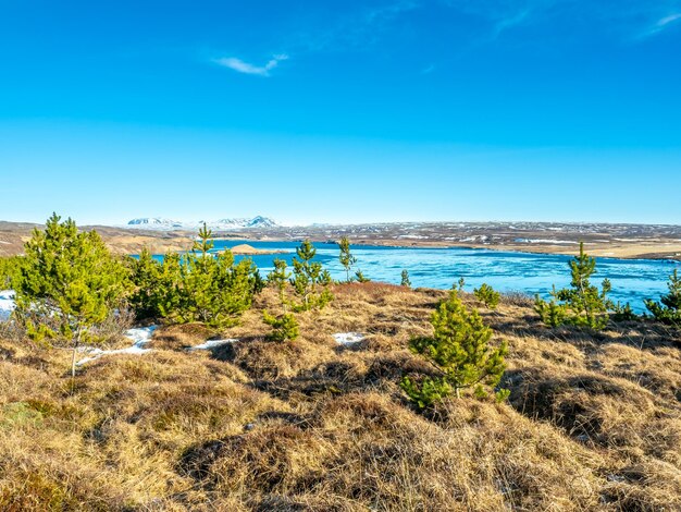 Ulfljotfvatn lake located in southern of Iceland with surrounding nature beautiful view