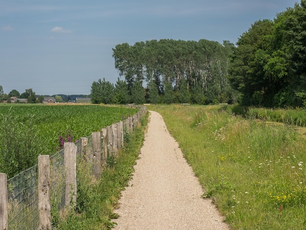 Foto ulft in nederland