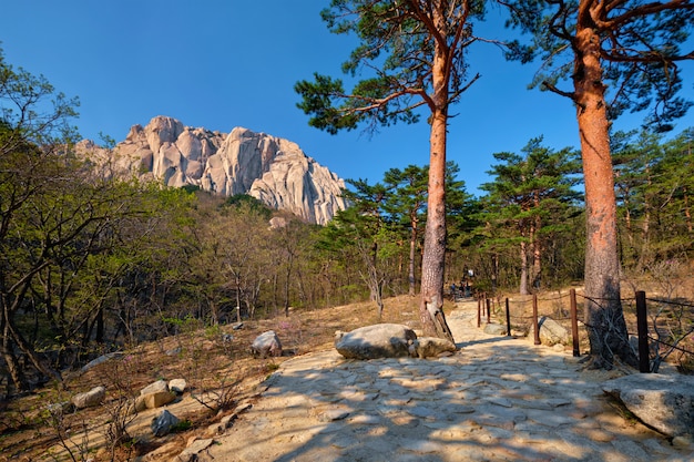 Roccia di ulsanbawi nel parco nazionale di seoraksan, corea del sud