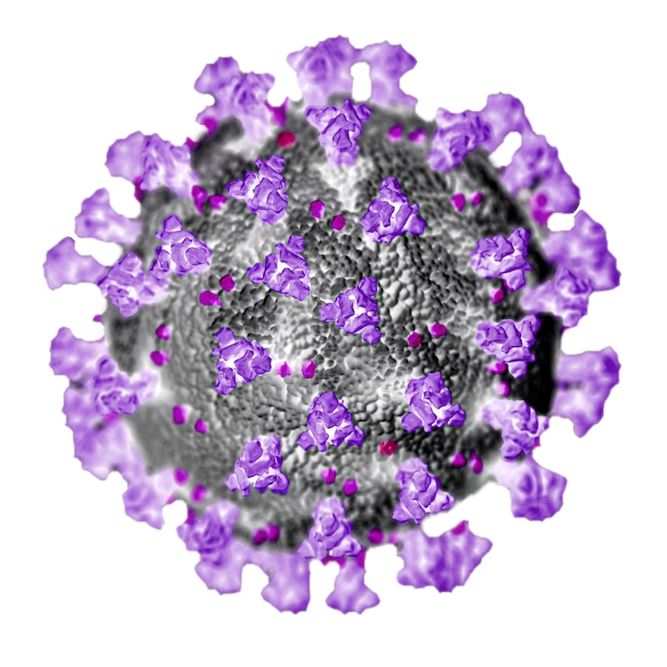 Photo ultrastructural illustration of coronavirus transparent png