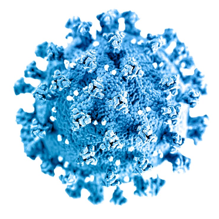 Photo ultrastructural illustration of coronavirus transparent png