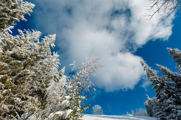 Ultrawide winter mountain landscape