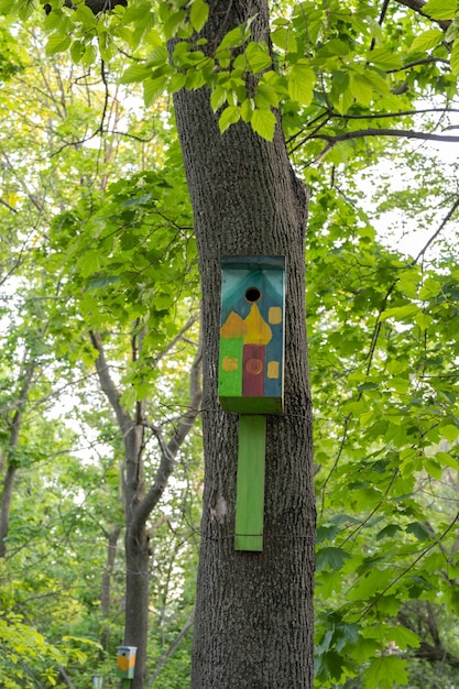 Ulyanovsk Russia July 25 2021 The funny painted birdhouses on the tree Handmade wooden nesting box
