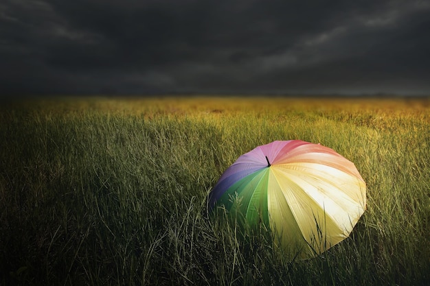 A umbrella on green field and dark blue stormy cloud