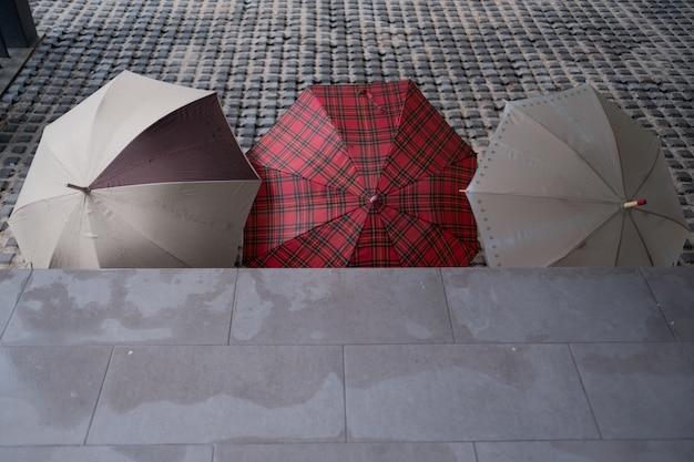 umbrella on ground