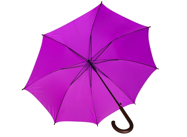 Umbrella open Violet