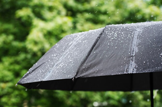 Umbrella and rain drops closeup