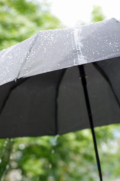 Umbrella and rain drops closeup