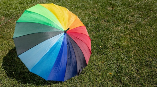 Umbrella rainbow colors on green grass background