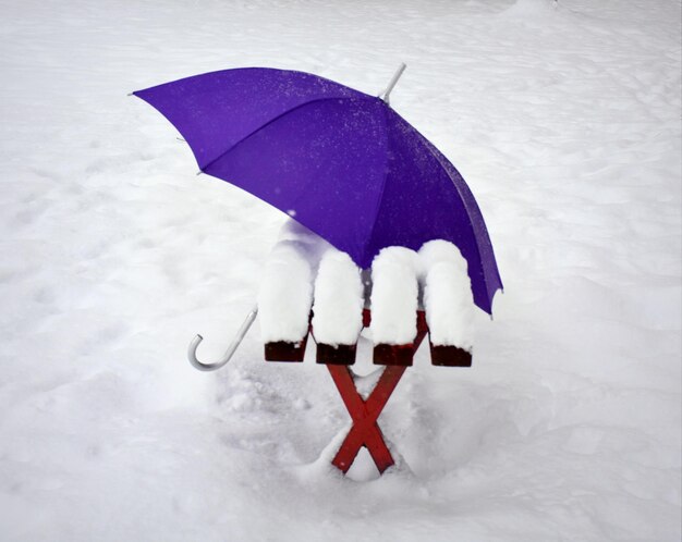 Umbrella in snow