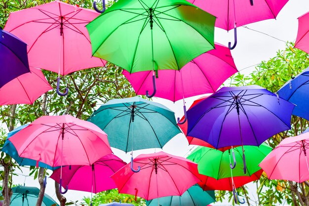 Umbrella vele kleuren drijven op de boom