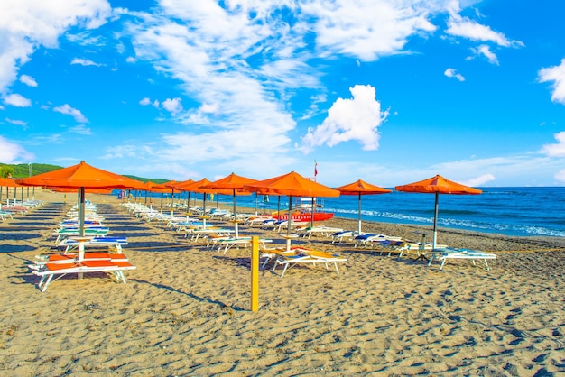 Umbrellas on the beach in the morning