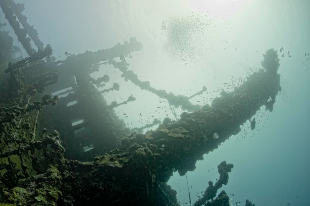 Umbria ship wreck in red sea