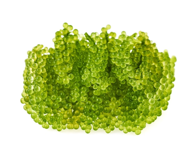 うみぶどう、白で隔離されるブドウの海藻または緑のキャビア