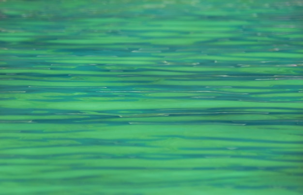 Foto un dia de piscina