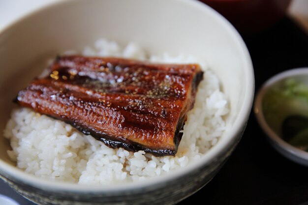 Photo unagi don , grilled eel with rice , japanese food