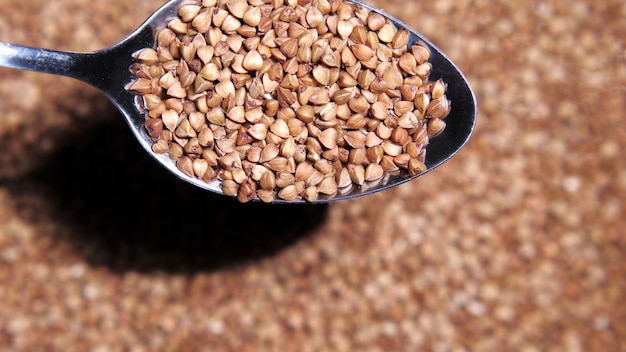 Grano saraceno crudo, concetto di cucina.