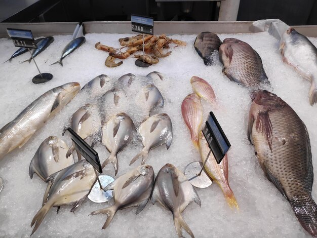 Uncooked fish displayed at supermarket