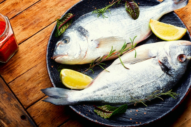 Uncooked fresh gilthead fish