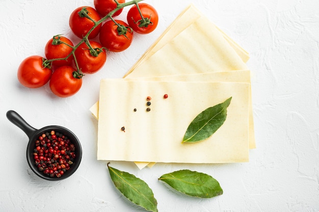 Uncooked lasagna sheets set, with seasoning and herb, on white stone table, top view, flat lay