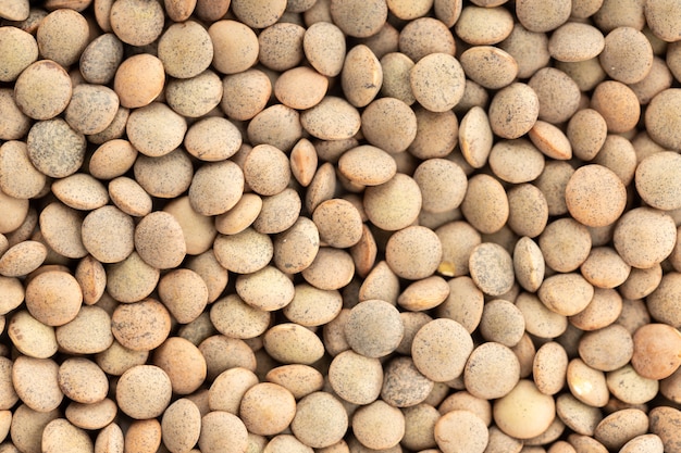 Uncooked Lentil background texture. Full frame