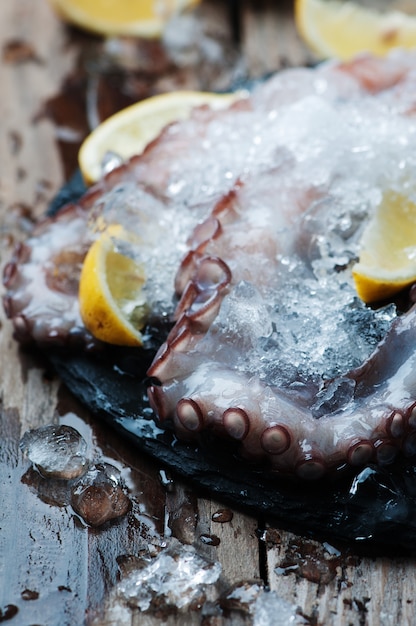 Uncooked octopus with ice and lemon