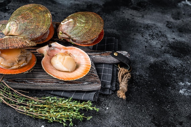 Uncooked Raw Queen Scallops on a wooden board. Black background. Top view. Copy space.