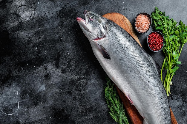 Uncooked raw sea salmon whole fish on a  wooden board with herbs. Black background. Top view. Copy space.